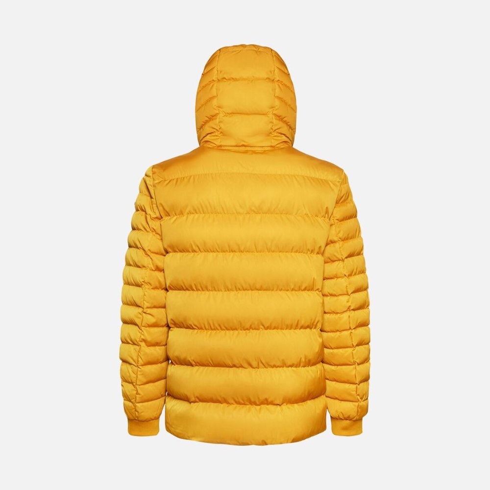 GEOX: Colbyn Hood Jacket - Chai Tea - Picture 5 of 14